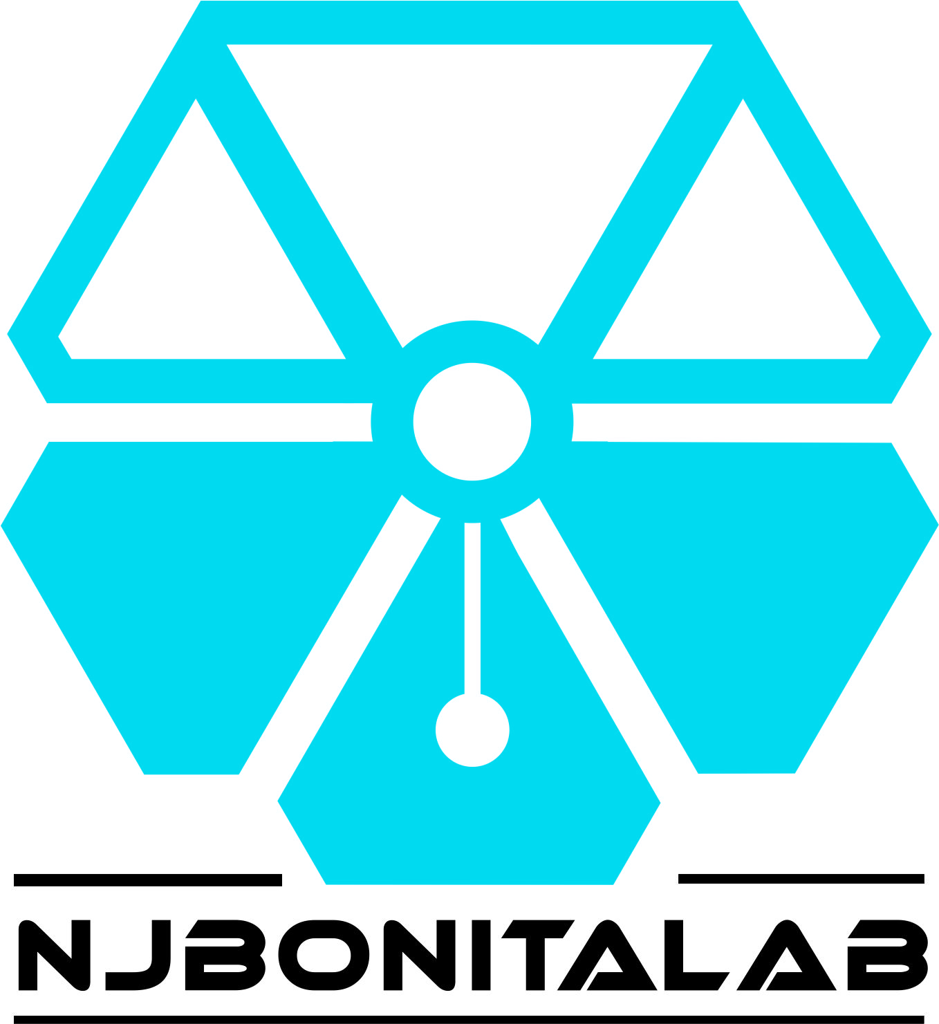 Nanjing Bonita Scientific Instrument Co., Ltd. logo