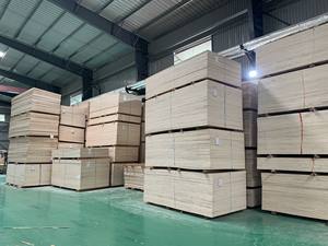 Superventas 21mm DD Grade Film Faced Abedul Contrachapado Fábrica de Vietnam 4x8 Modelo 18mm E0 Muebles para Dormitorio Cocina-Venta al por mayor - Product Image 5