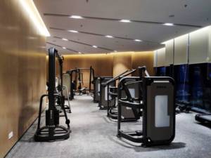 Su-a SH-6802 Bướm Thiết Bị Tập Thể Dục Su-a Sức Mạnh Thiết Bị Tập Thể Dục Su-a 68 Loạt Phòng Tập Thể Dục Máy Nhà Cung Cấp Và Nhà Sản Xuất - Product Image 3