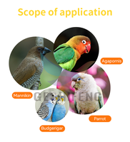 Mini cage à oiseaux en fil métallique, petit habitat pour perruches, canaris, pinsons, perroquets, utilisation en intérieur