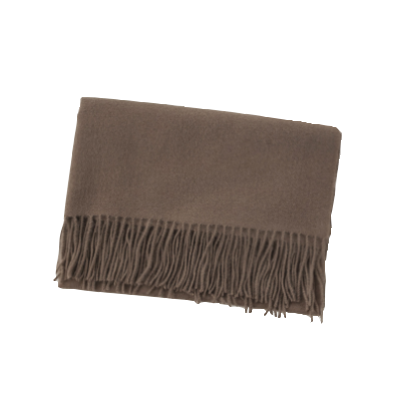 สีน้ำตาล