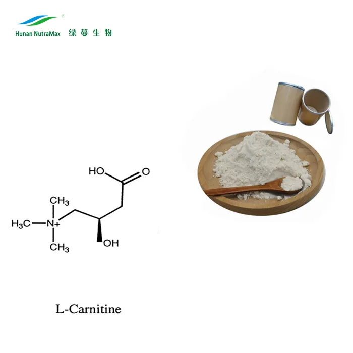 अमीनो एसिड एल Carnitine, एल Carnitine एचसीएल, एन-Acetyl एल Carnitine