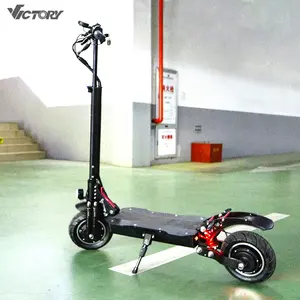 Dualtron-patinete eléctrico todoterreno para adultos, Scooter deportivo de 10 pulgadas, 2021 W x 2, estilo ZERO 10X, 800, China, OEM