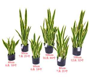 Gran oferta, decoración del hogar, paisaje, planta de follaje verde, bonsái, planta de serpiente para mesa, serpiente artificial, bonsái en maceta - Product Image 2