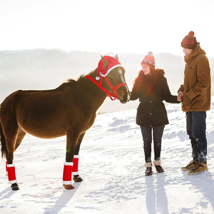 OEM Factory 6pcs Christmas Horse <strong>Wraps</strong> New Year Winter Warm Tendon Boots Leg Protector <strong>Wrap</strong> Horse <strong>Halter</strong> Hat Western Saddle - Product Image 3