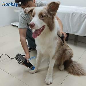 Free Training Foldable Screen Animal Shock Wave Therapy Machine Tendon Repair Shockwave <b>Massage</b> Therapy Machine for Horse - Product Image 1
