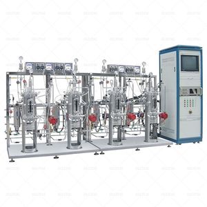 Airlift <strong>Fermenter</strong> <strong>Bioreactor</strong> Industrial Stainless Steel Pilot <strong>Bioreactor</strong> With Automatic Control System - Product Image 2