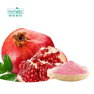 Polvere di Melograno Naturale all'Ingrosso Faitury, Polvere di Succo di Melograno Biologico - Product Image 1