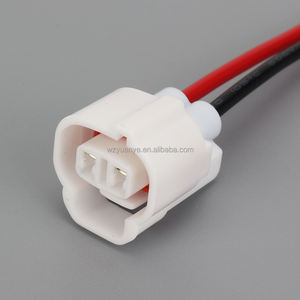 6189-0031 DJ7023-2-21 2-Poliger Wasserdichter Auto-Steckverbinder mit Nylon-ABS-Gehäuse für Sensor- und Lampenverkabelung - Product Image 2