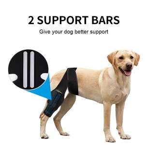 Soporte Ajustable para Rodilla de Perro, Arnés para el Cuidado de Heridas en las Patas, Neopreno Impermeable, Ligero, Protección, Alivio del Dolor, Soporte para Cojera - Product Image 2