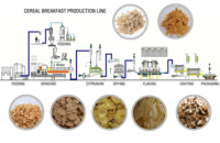 Máquina Extrusora de Productos Granulares Industriales, Línea de Procesamiento de Alimentos de Alta Capacidad, Proveedor de Equipos de Fabricación Comercial