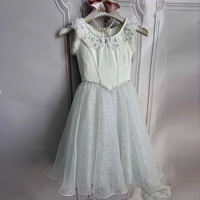 Romantique blanc Giselle Ballet Tutu Jupe Usine Direct Performance Porter pour Filles Femmes Adultes Scène Danse Costume pour Enfants