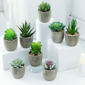 Natureamazon — mini plantes succulentes artificielles 12 pièces, arrangement de plantes avec Pots en plastique, pour décoration de maison et de bureau, offre spéciale