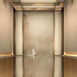 Ascenseur domestique certifié CE 300 kg, 2-4 étages, moderne, en PVC, pour maison résidentielle, sans engrenage AC, pour centre commercial - Product Image 3