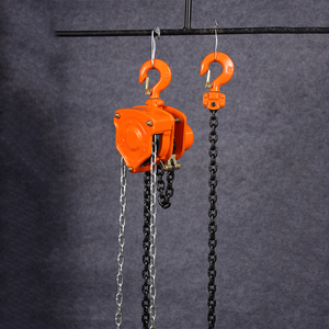 บล็อกรอกโซ่ขนาด100กก. 25ตัน3ตันบล็อกรอกโซ่<span class=keywords><strong>200</strong></span>กก. ผู้ผลิตจีน - Product Image 4