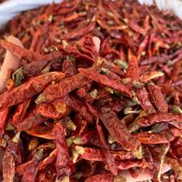 En stock, vente en gros, piment rouge séché cru AD S17, super épicé, piment indien Devil Chili
