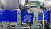 S-110 machine d'emballage horizontale entièrement automatique multifonctionnelle de poche de sac en plastique d'Acepack pour la nourriture avec la fonction d'étiquetage