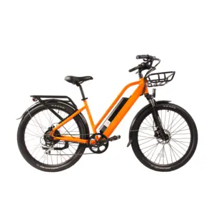 FREEPATH Aluminum Alloy Frame 500w 48v Ebike Adult Electric City Bike