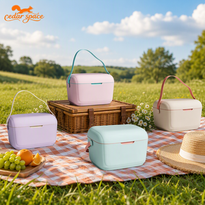 Ensemble de glacières de luxe Cedar Space <span class=keywords><strong>Vogue</strong></span> 6QT, plusieurs couleurs, matériau PP, étanche, isotherme, style moderne pour la conservation des aliments - Product Image 5