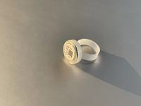 Nouvelle Offre : Bagues de Marquage Réglables en Plastique pour Poulets et Oiseaux (2-2mm) – Outil de Marquage pour Petits Volailles et Pigeons
