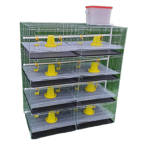 H tipo animale strato caldo galvanizzato batteria Brooder gabbia di pollo pollame allevamento del bambino pollo gabbie per le vendite - Product Image 3