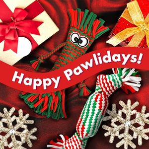 Jouets pour chiens écologiques sans rembourrage, qui couinent, en peluche froissée, lot de 2, sans garniture, pour les races petites et moyennes - Product Image 6