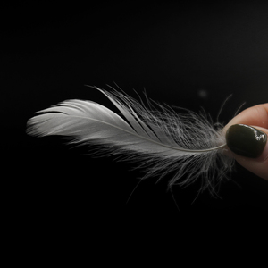 Mua Bán Số Lượng Lớn Rửa Trắng Vịt Xuống Lông Chất Lượng Cao Trắng Vịt Lông - Product Image 2