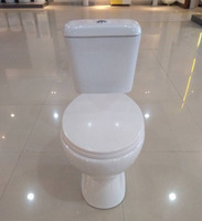 Toilette de Salle de Bain WC Suspendu à Siphon en P, Commodité Complète en Céramique Sanitaire, Cuvette de Toilette à Deux Pièces