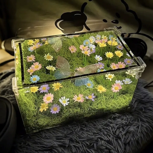 Caja de Regalo Divertida <span class=keywords><strong>para</strong></span> Cumpleaños de Novia, Creativa, con Mariposas de Primavera, Hecha a Mano, Luz Nocturna Pequeña de Madera, Color Personalizado, Moderna - Product Image 1