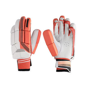 Personalizar el logotipo Tamaño y color Cómodo Transpirable Cricket Guantes de bateo Productos deportivos Kit completo - Product Image 2