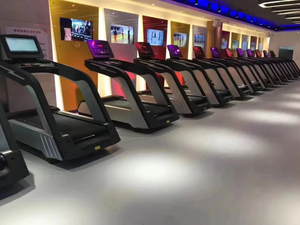 NO.7 Commercial Professional With 15-20km/h Speed Manual/Auto Incline LED Screen 300kg Capacity NO.7 Running - Product Image 5