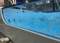 Baignoire de luxe double pour le surf, à température constante, autoportante, pour usage domestique et hôtelier, pour adultes, à installer en intérieur
