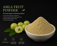 Extrait d'Amla biologique pur, poudre de fruits d'Amla, poudre naturelle de groseille indienne pour la croissance des cheveux et les soins de la peau