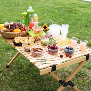 Disposable Tableware Set For 10 People With Cups Bowls Chopsticks Spoons Camping Outdoor Picnic Use Transparent Multifunctional - Product Image 3