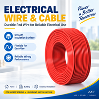 Kabel Listrik Berkualitas Tinggi untuk Konstruksi Rumah Tangga, Tembaga Murni Berisolasi PVC 450 750V, Tahan Api