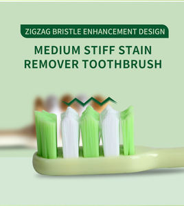 Hochwertige DuPont-Nylon zahnbürste, Kunststoff verpackung mit mittleren Borsten, hochwertige Qualität auf Lager Noch keine Bewertungen - Product Image 6