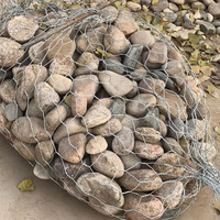 Paniers et cages en gabions en fil de fer galvanisé enduit de PVC, de haute qualité, en gros, avec conception hexagonale tressée, tailles 2x1x0.5m et 2x1x1m