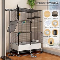 Mangeoire à oiseaux pratique à prix d'usine pour l'extérieur, résistante aux intempéries, facile à remplir, pour jardin