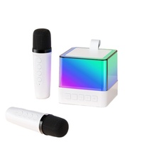 Mini haut-parleur karaoké avec 2 micros sans fil, lumière LED, machine karaoké portable pour enfants et adultes, fête
