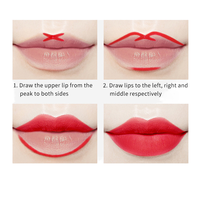 Crayon à Lèvres Crème Végétalien Marque Blanche Maquillage Rouge à Lèvres Mat Hautement Pigmenté Marron