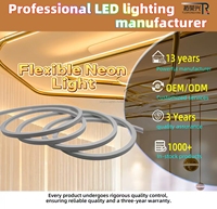 Bande lumineuse LED néon flexible blanche 16*16mm, étanche IP68, en silicone, pour la décoration paysagère et l'éclairage extérieur