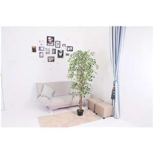 Arbre artificiel pour l'extérieur Simulation de rose pour mariage Maison en vrac Eco Friendly Oem/Odm Bas <span class=keywords><strong>prix</strong></span> Olive Big Fake Flower - Product Image 3