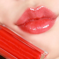 Gloss à lèvres en gros, marque privée, OEM, ODM, logo personnalisé, rouge à lèvres liquide nude scintillant longue tenue et waterproof, certification ISO