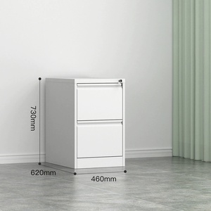 Armoire <span class=keywords><strong>de</strong></span> classement verticale en acier à 2 tiroirs, meuble <span class=keywords><strong>de</strong></span> rangement métallique <span class=keywords><strong>de</strong></span> <span class=keywords><strong>bureau</strong></span> avec serrure pour dossiers suspendus A4 - Product Image 6