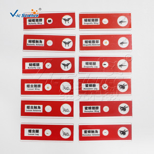 Kit de Microscopio de Plástico para Niños Serie Insectos: Desarrolla la Inteligencia de los Niños y Permite la Observación Microscópica de las Diapositivas - Product Image 5