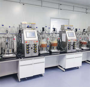 Fermentador a escala de laboratorio de 5L, biorreactor de vidrio para cultivo de células de mamífero, biorreactor de vidrio para cultivo de - Product Image 5