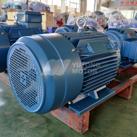 Moteur électrique asynchrone triphasé IE3 haute efficacité 25 CV 480 V 60 Hz personnalisable avec boîtier en aluminium pour machines