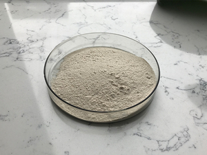 Sabor Natural de grado alimenticio, sabor, enzima sabrosa - Product Image 6