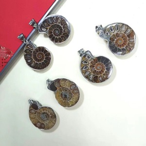 Venta al por mayor de fósiles de caracola natural, colgante de espécimen fósil de amonita arcoíris para collares de dijes - Product Image 1