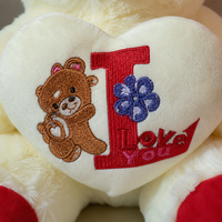 Valentijnsdag Teddybeer Zachte Pluche Speelgoed Borduurwerk Polyester Gevuld Cadeau